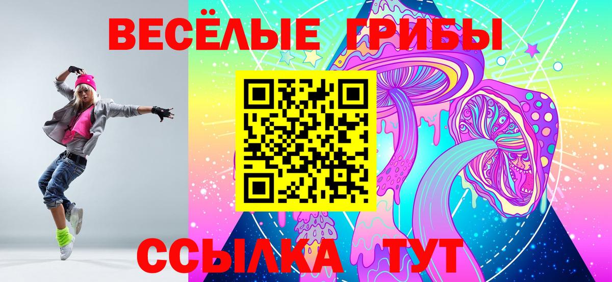 Псилоцибиновые грибы прущие грибы  Вход с VPN  Галлюциногенные грибы мухоморы  Миллерово 