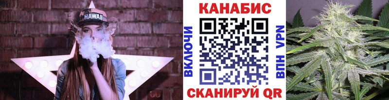 Каннабис сатива  Миллерово 